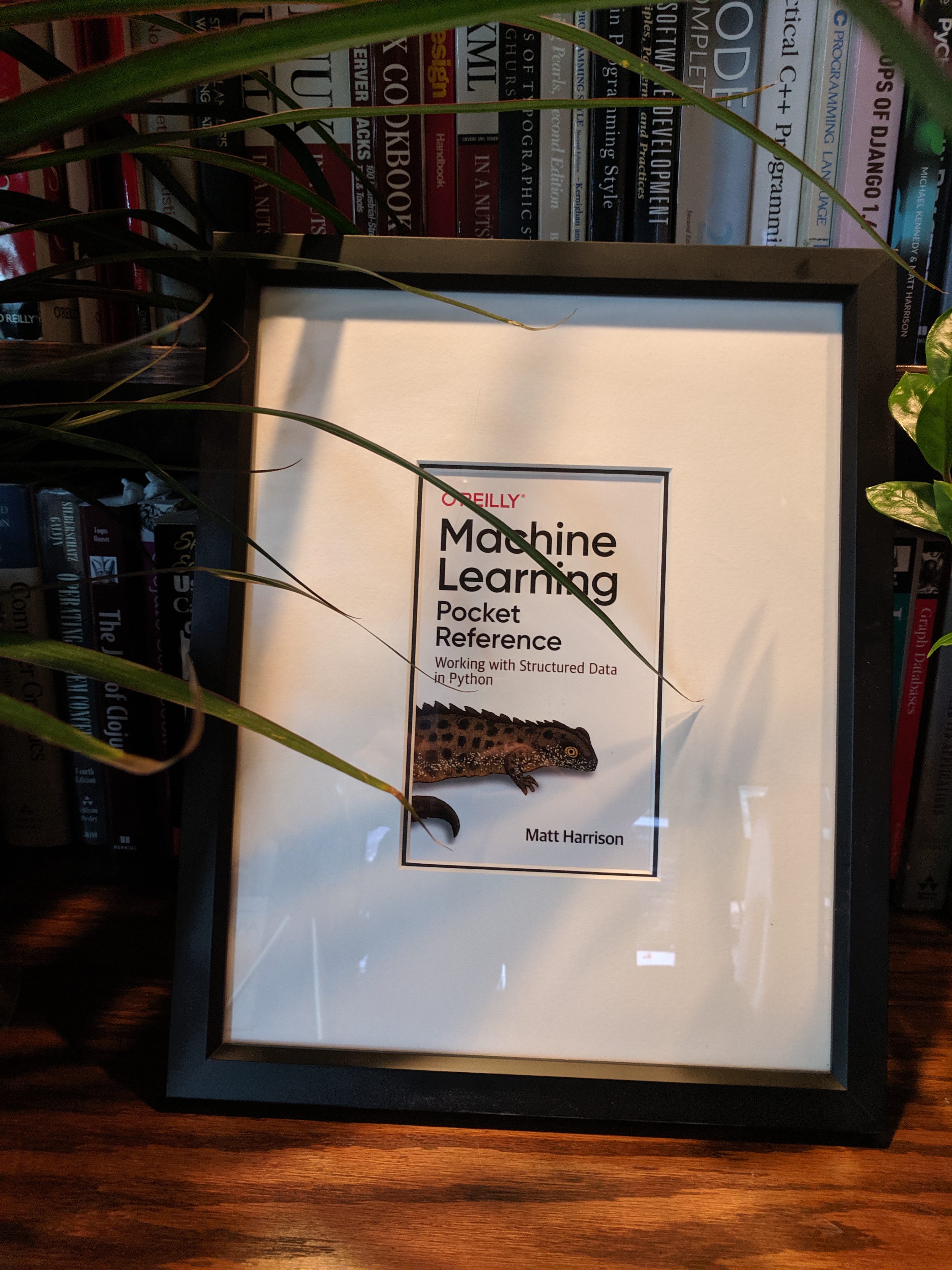 framed OReilly book