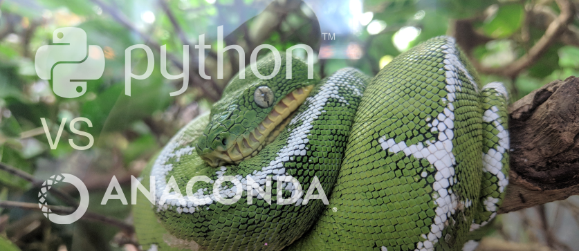 Python